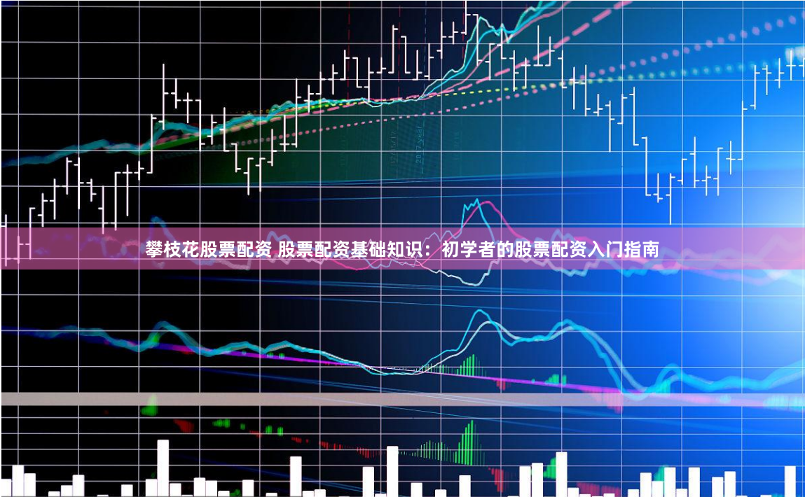 攀枝花股票配資 股票配資基礎知識：初學者的股票配資入門指南